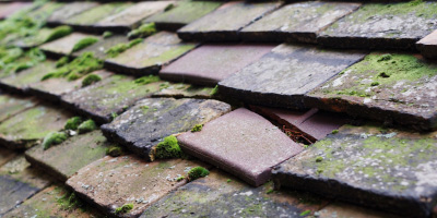 Maerdy roof repair costs